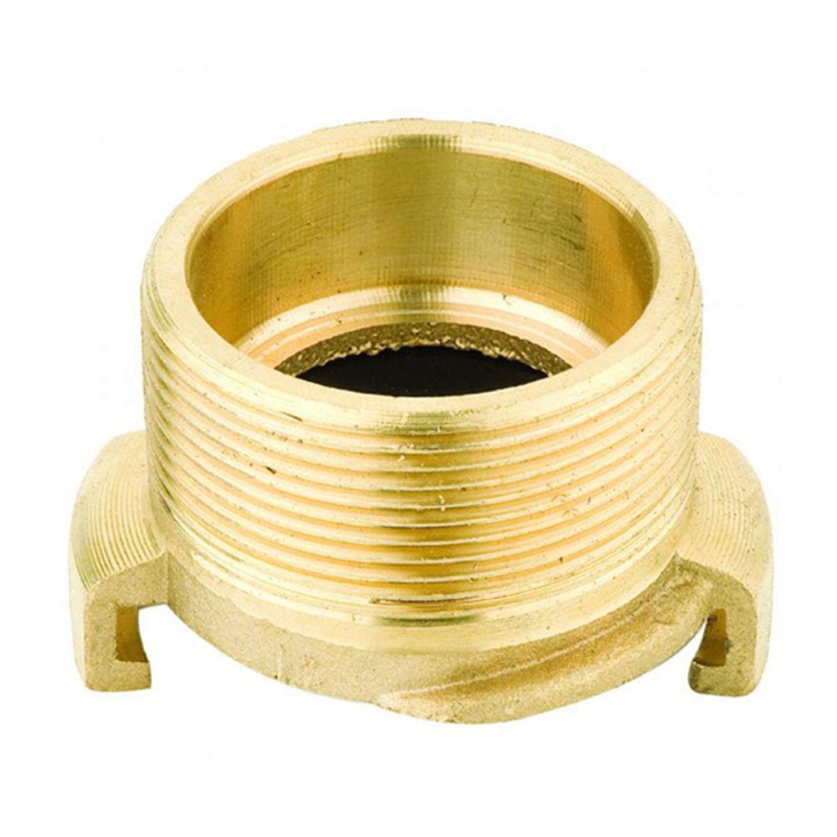 سجلات الترس الأصفر الإيطالية
